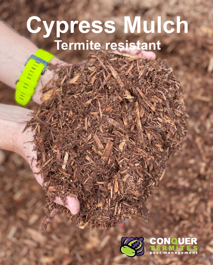 Cypress mulch termite resistant
