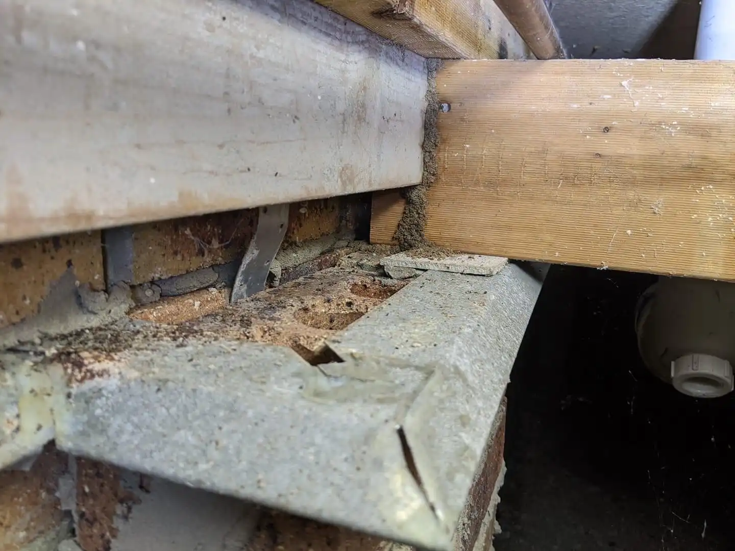 Ant Caps and Termite Shields to detect termites