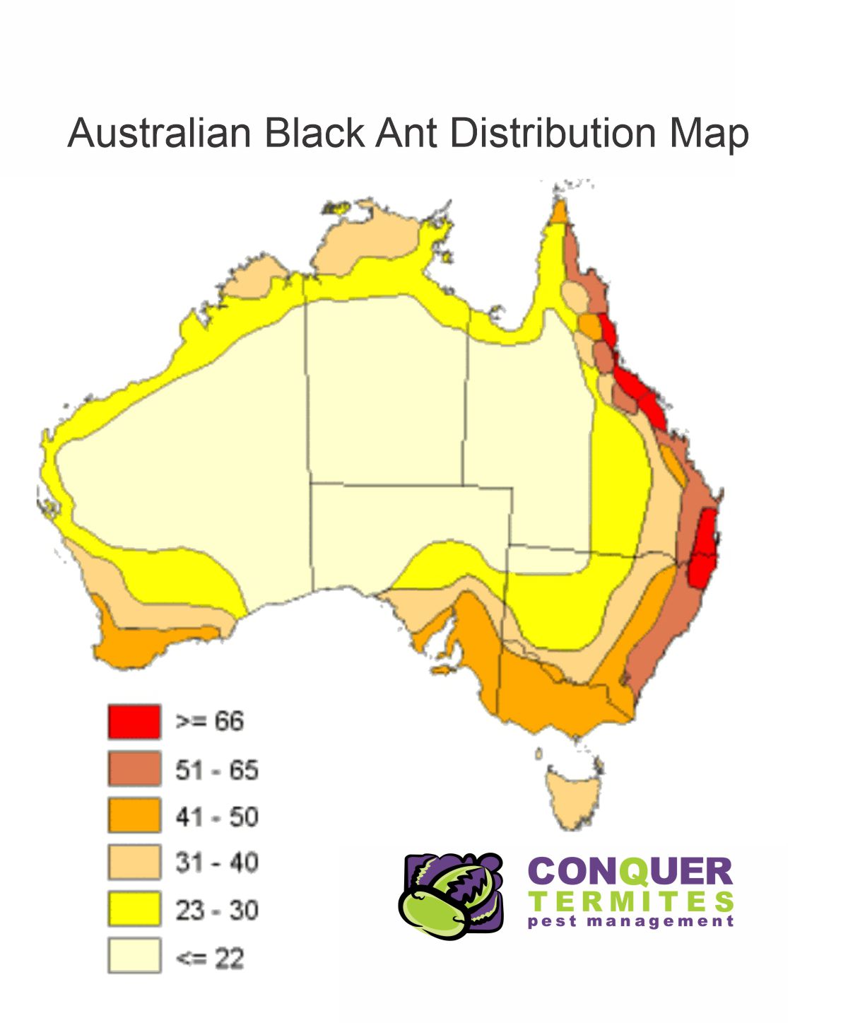 Australian Black Ant Distribution Map