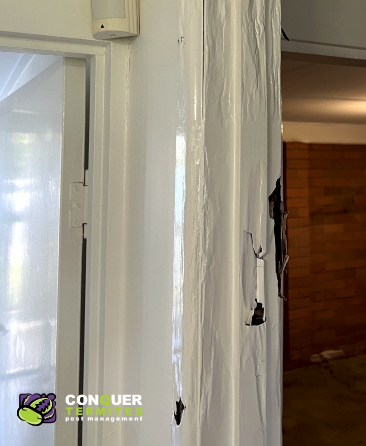 Termite damage to a door frame