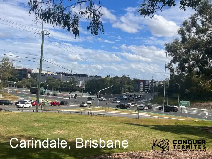 Pest Control Treatment - Carindale - Brisbane, Qld 4152 