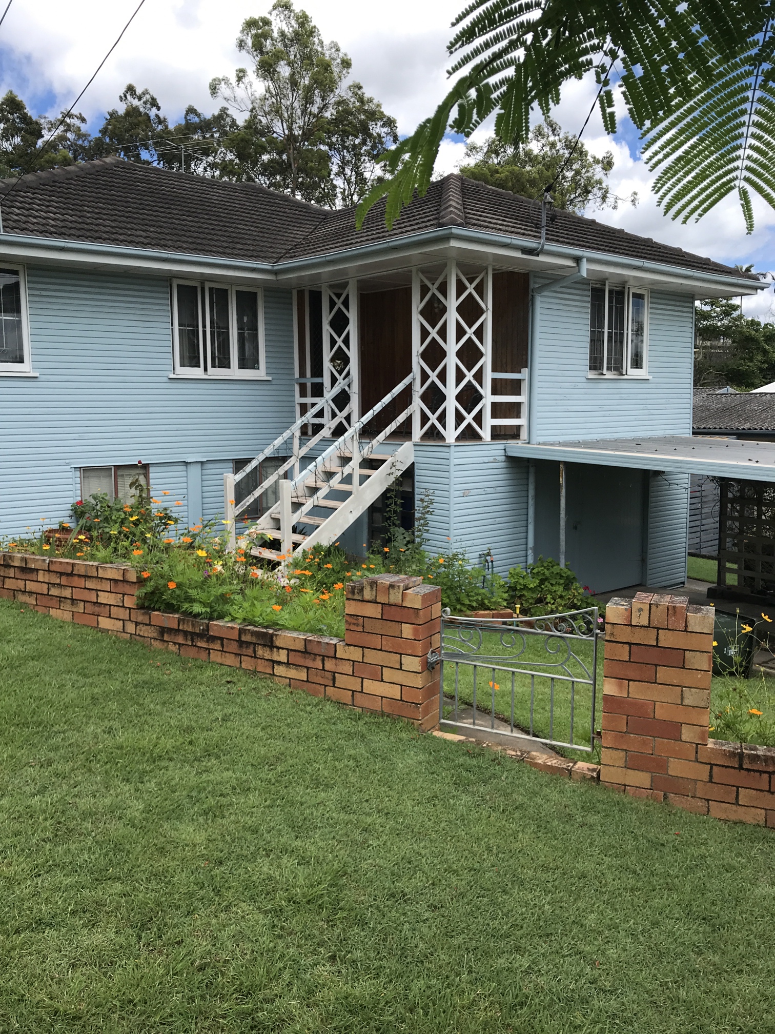 Termidor termite treatment in Morningside - Brisbane