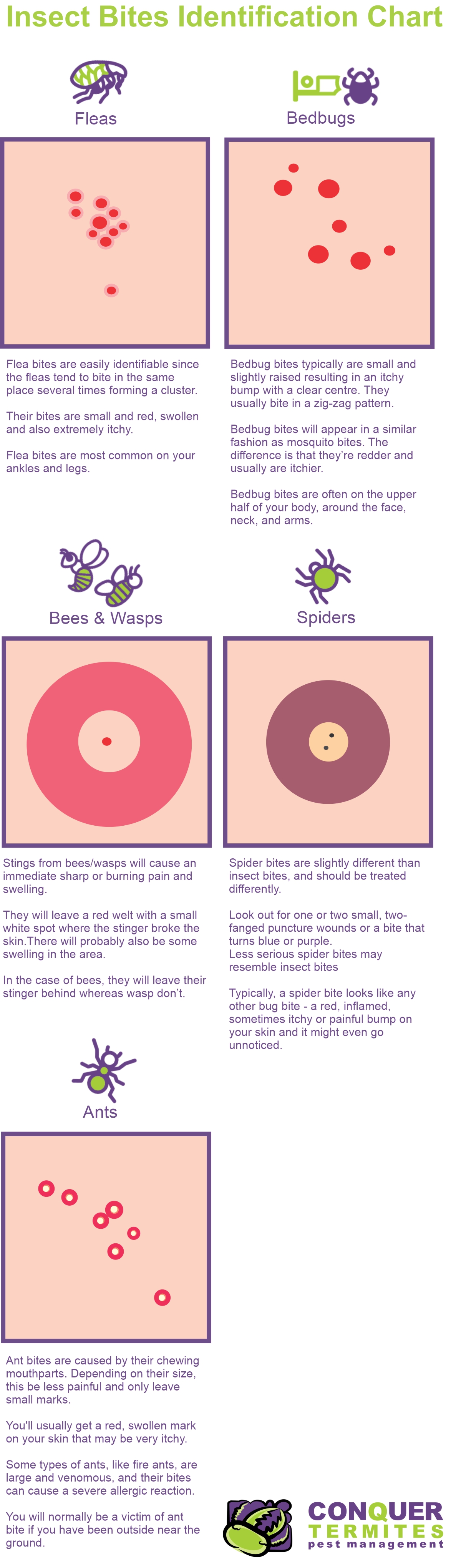 Insect bite identification chart