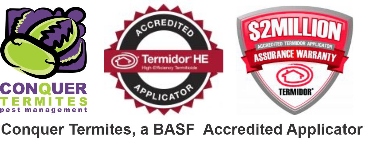 Conquer Termites BASF accredited Applicator of Termidor