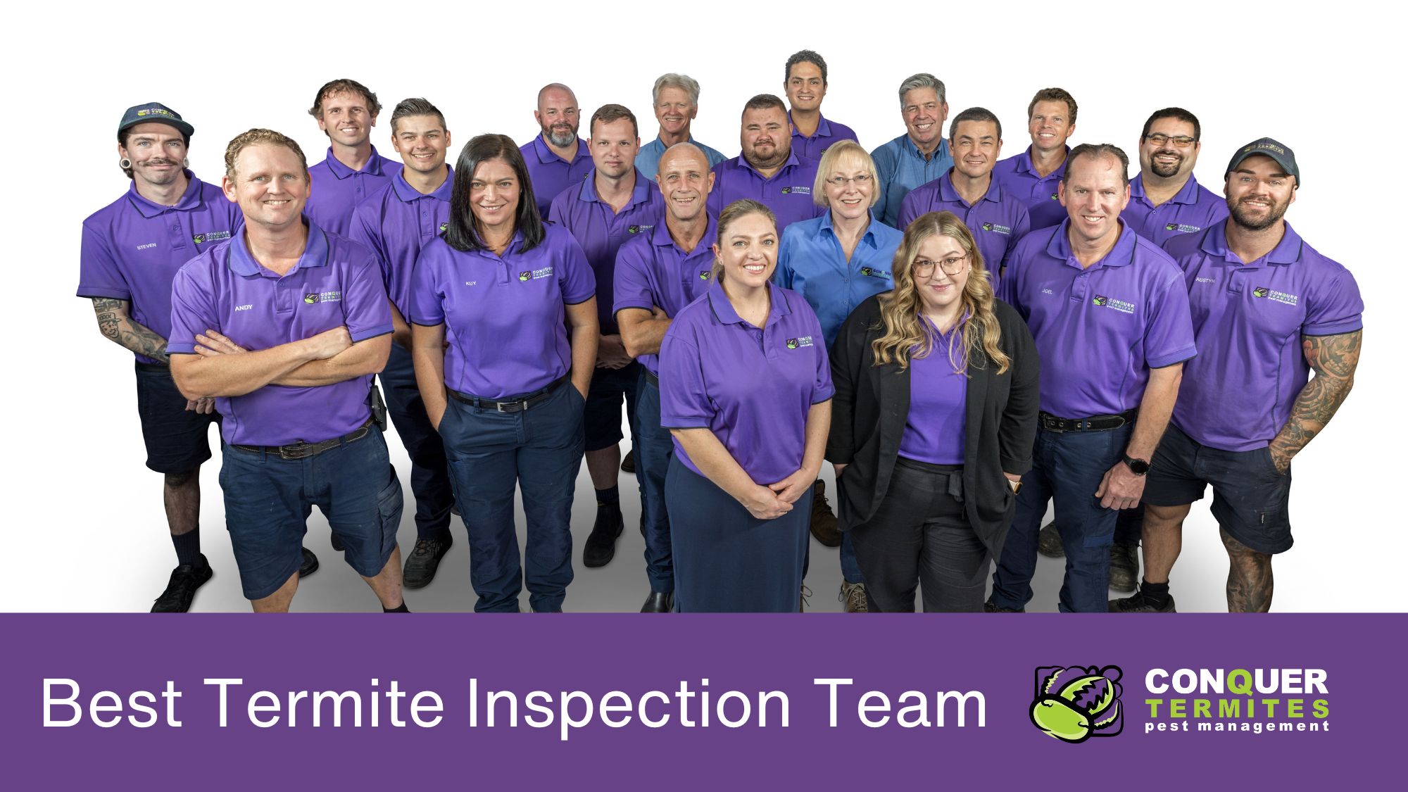 Conquer termites’ inspection team