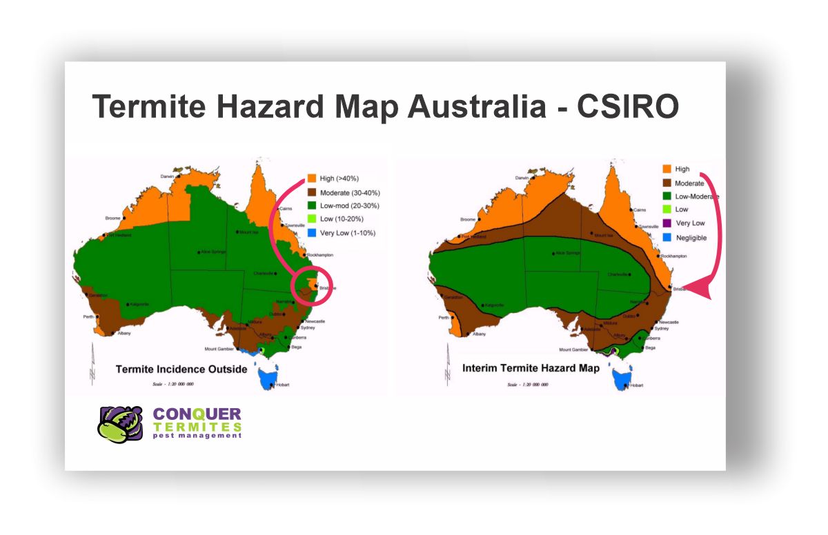 When are Termites most active in Brisbane, Australia?