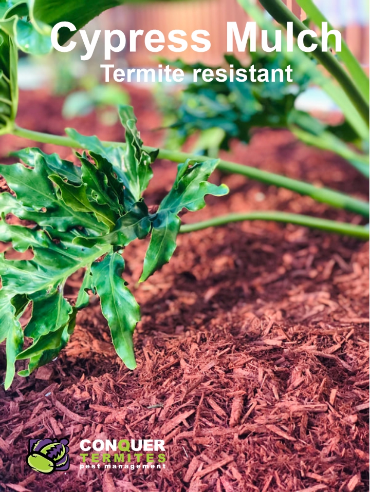 How can I keep termites away from my house?