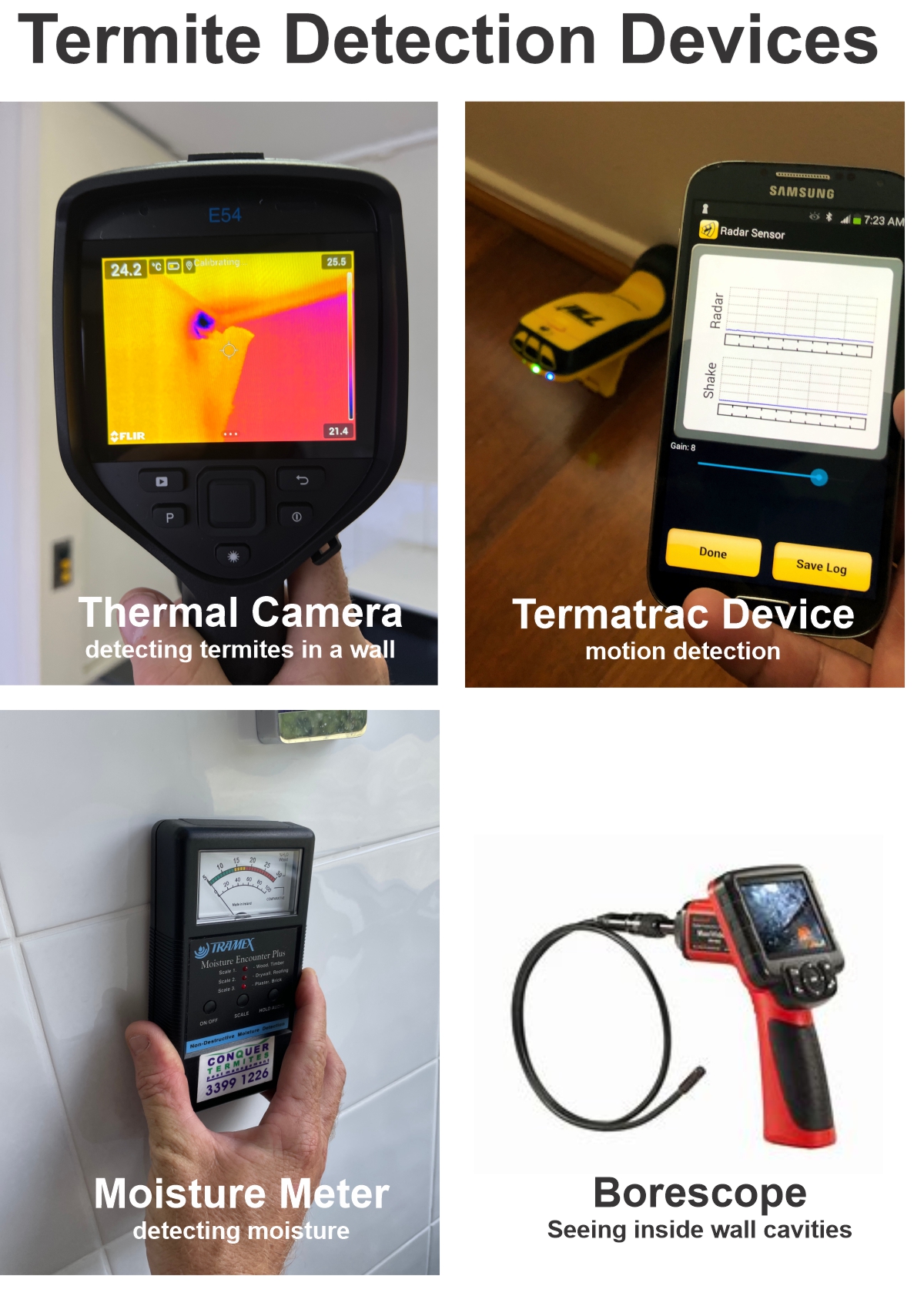 Termite detection devices