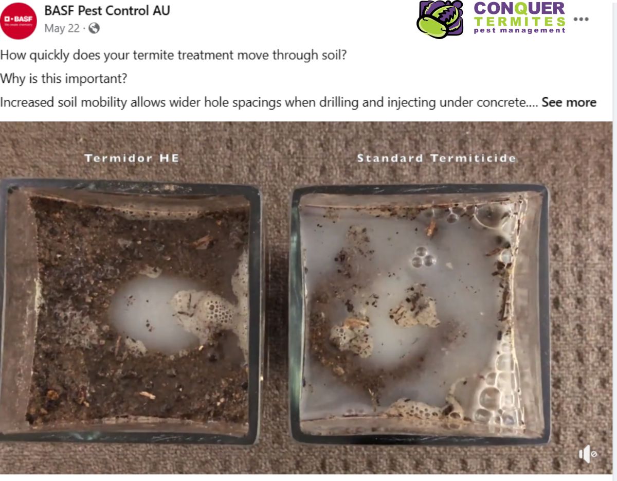 New improved Termidor HE - best chemical to treat termites