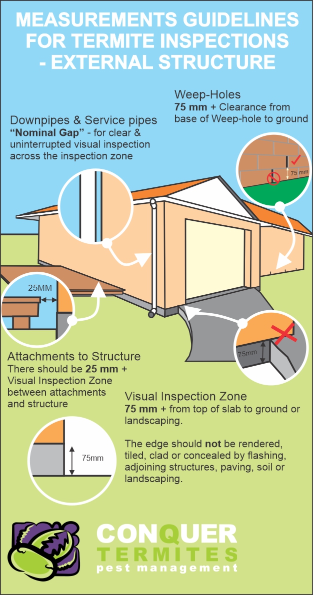 How to do a Termite Inspection