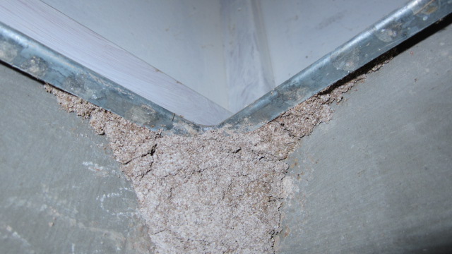 Ant Capping doesn’t stop termites