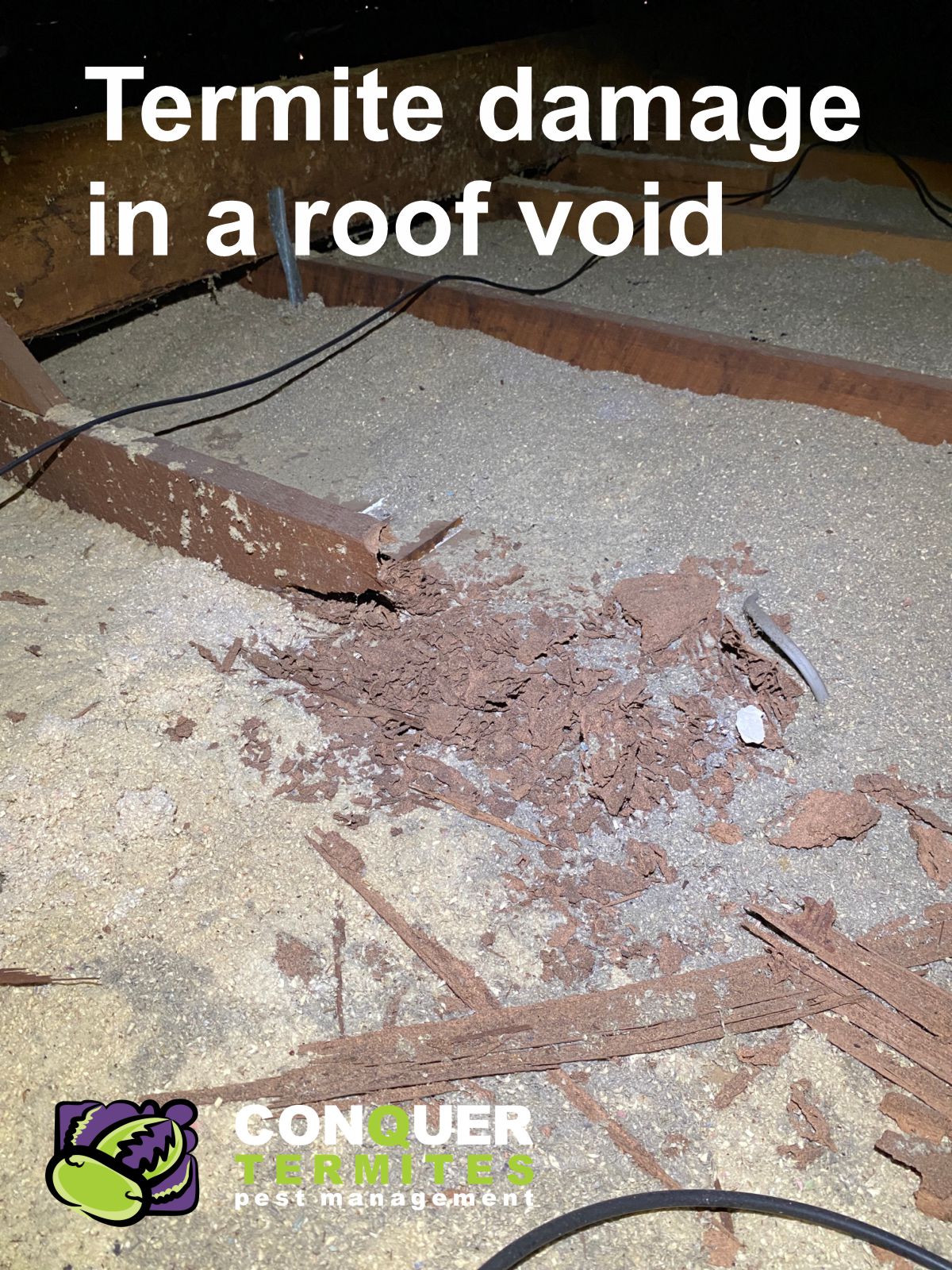 Termite Damage in a Roof - Brisbane