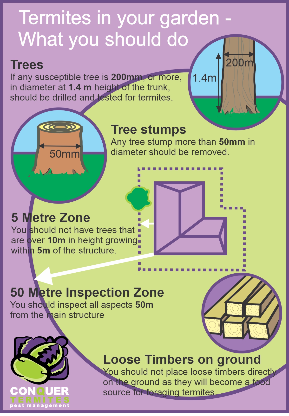 Termites in your garden what you should do