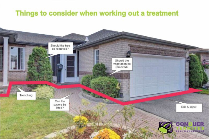Things to do before a termite treatment to the external perimeter
