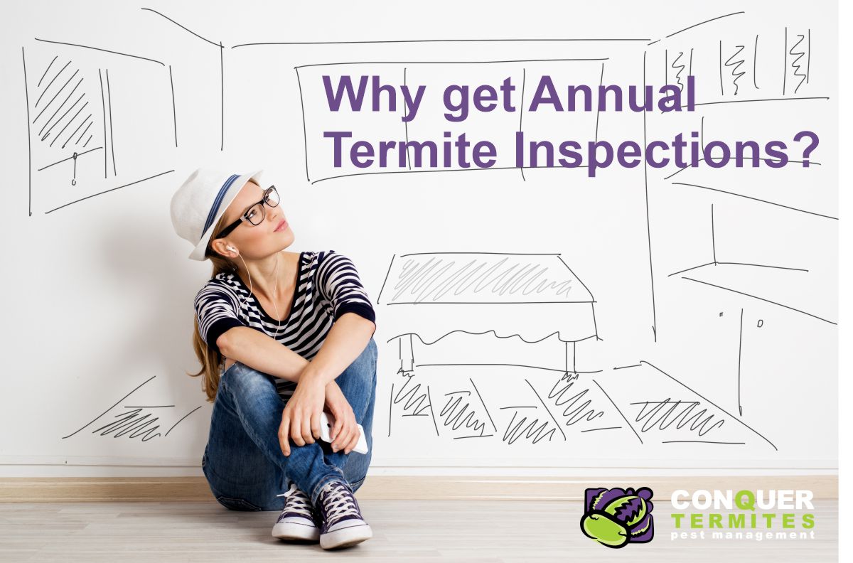 Is it necessary to do Annual Termite Inspection?