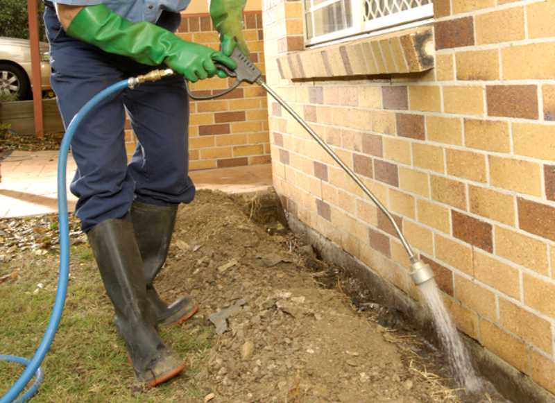 DIY termite treatment - how not to do it! | Conquer Termites : Brisbane