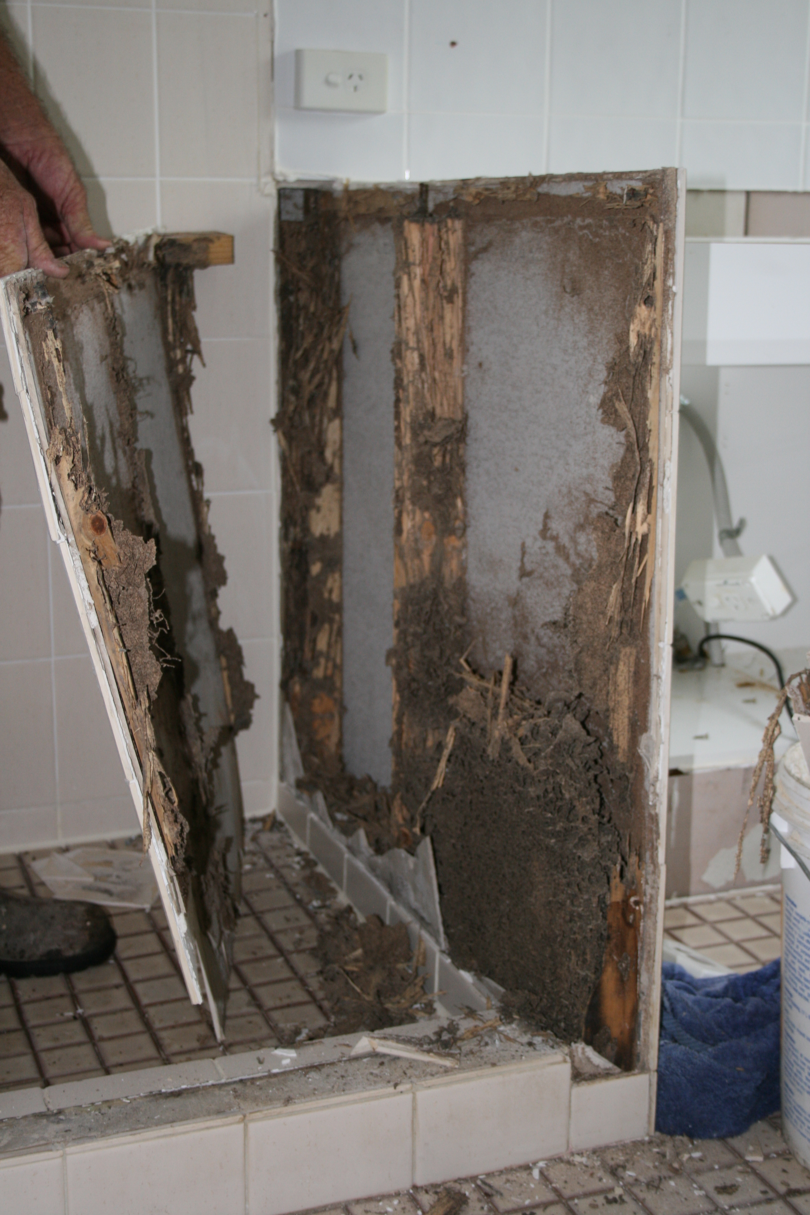 Termite nest in a shower hob in Mt Gravatt