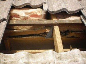 Termite Damage - Calamvale