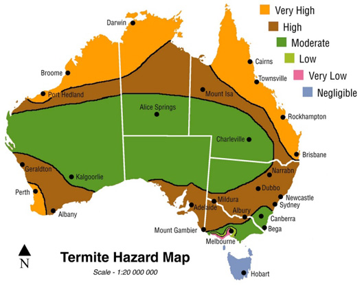 map-termites-in-australia