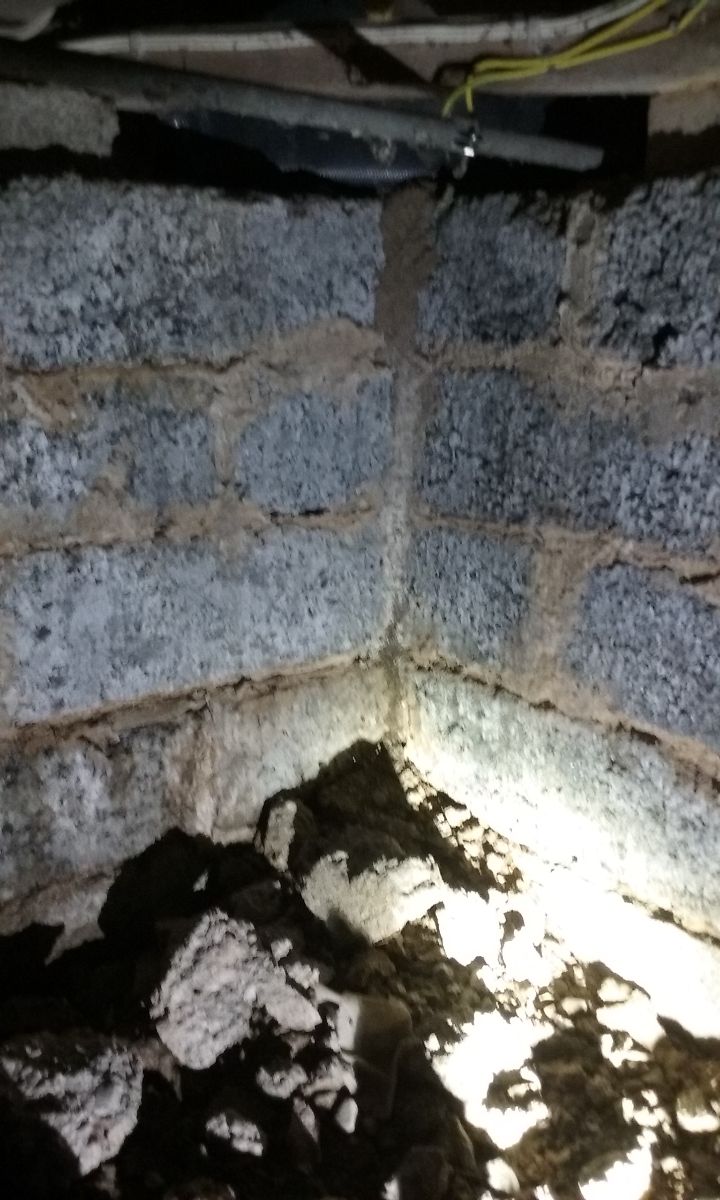 Subfloor termite workings