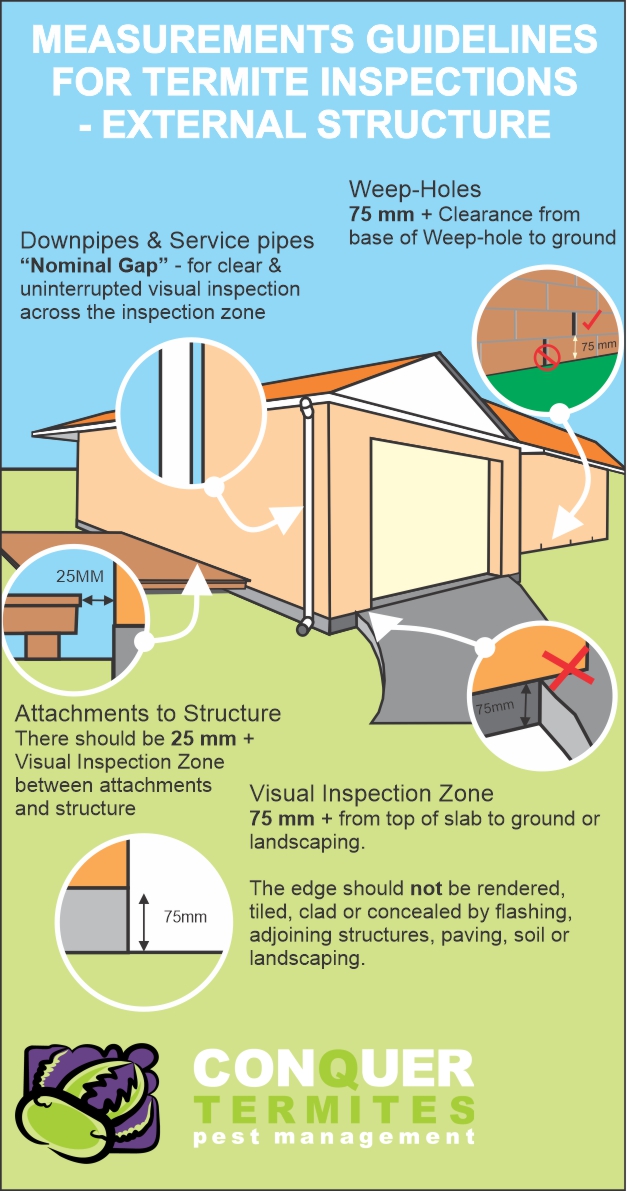 Termite inspection issues around a home