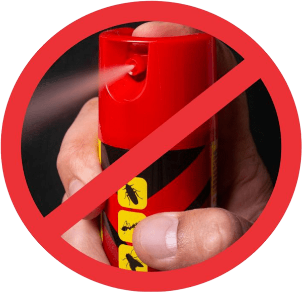 Image of a 'DON"T" spray termites with bug spray