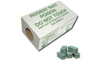 Photo of a cardboard rodent bait box with bait
